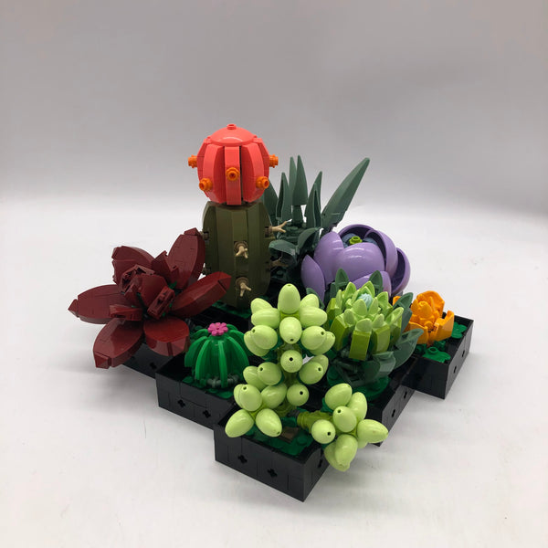 10309 Succulents [USED]