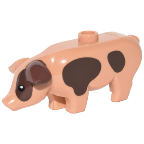 Pig