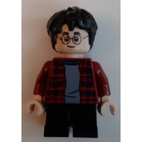 Harry Potter