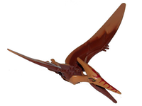 Pteranodon