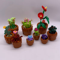 Tiny Plants 10329 - Used LEGO Botanical Collection Set
