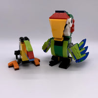 31031 Rainforest Animals [USED]